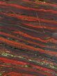 Polished Tiger Iron Stromatolite - ( Billion Years) #50735-1
